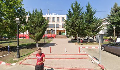 1001 Articole Strada Ciprian Porumbescu 14