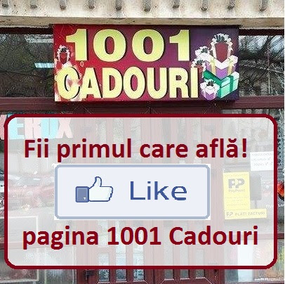 1001 CADOURI Strada Alexandru Ioan Cuza