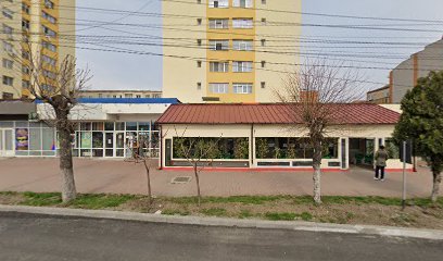 ALUNU TURNURI Strada Nicolae Bălcescu M3 PARTER