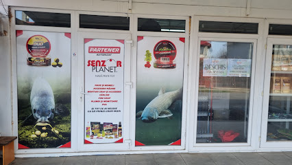 ARTICOLE PESCUIT FUNDULEA Strada Vasile Băbuş 4