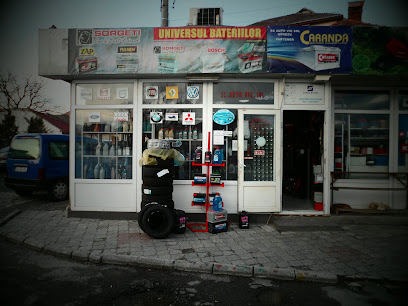 AUTO VIC Strada Tudor Vladimirescu nr 88