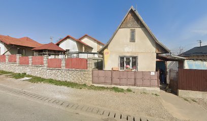 Aditur SRL Strada Castanilor 37