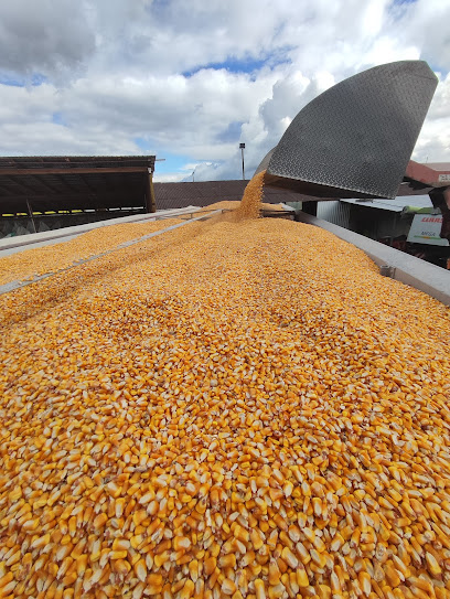 Agro Ray Calea Trotușului 260