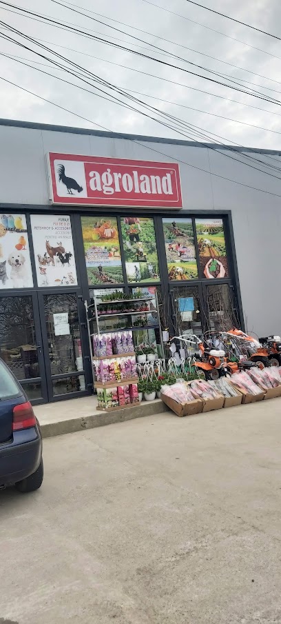 Agroland Fierbinti Targ Calea Urziceni 6