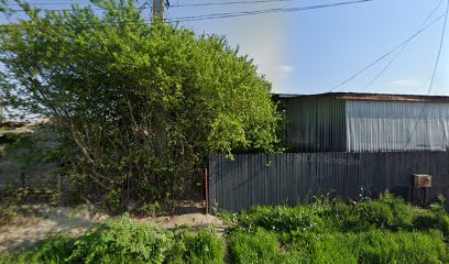 Agroserv Dascălu Strada Oltului