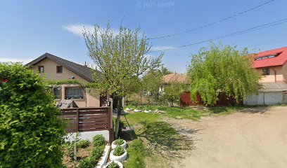 Alexandru DUCUTA (Senior) Str. Poștei 7