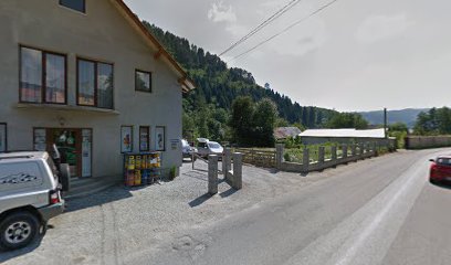 Alexandru Str. Afinilor