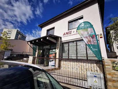 Amis Hobby Strada Smârdan 41