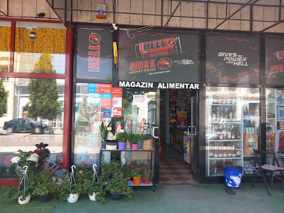 Ana și georgi -magazin Mixt. Plăti facturi