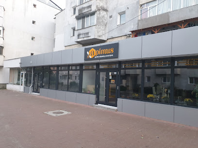 Apimus Strada Buciumului 13