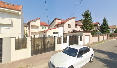 Arslan Strada Radu Costache