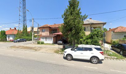 Articole Pescuit Strehaia Strada Republicii 223