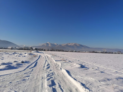 Autokov Strada Ciucaș 45