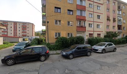 BANAT S.R.L. Str. Lunca Pomostului