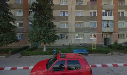 BIROTICA SERVICE S.R.L. Strada Nufărului 5