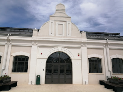 Bazar Buzău