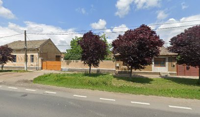 Bio Ana Natura str1 nr 54 Pecica Arad Strada 1 54