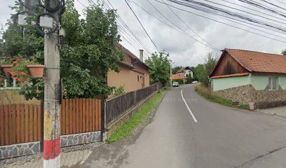 Boróka Gyógyszertár Strada Principală 128