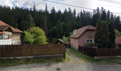 Borvíz forrás DJ132 63