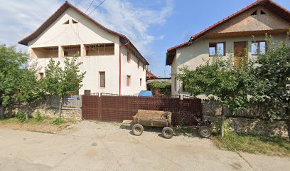 Bratex Pantofi piele naturala Strada Constantin Rădulescu Motru