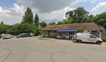 Bumbăcăria Românească Jilava Strada Gării 112