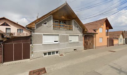 Burnete Elisaveta Strada Nicolae Bălcescu 13