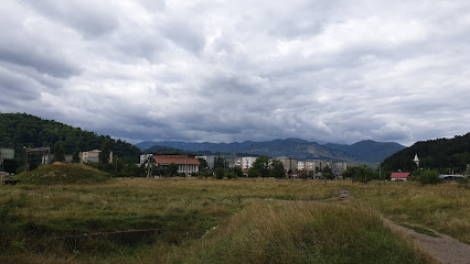 CASA-LUX Comanesti Strada Republicii