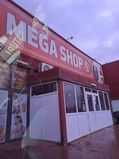 CHINA MEGA SHOP Strada Călărași 509