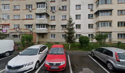 COOPERATIVA DE CREDIT MUNTENIA MIOVENI Bulevardul Dacia 250