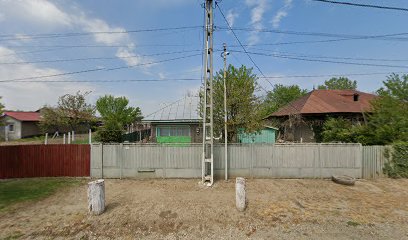 CRETU RADU Fierbinti-Târg
