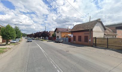 CRISTAL STIL IMPORT EXPORT S.R.L. Str. Barnutiu Simion