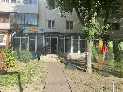 Casa Pescarului Viziru Calea Călărașilor Nr. 315