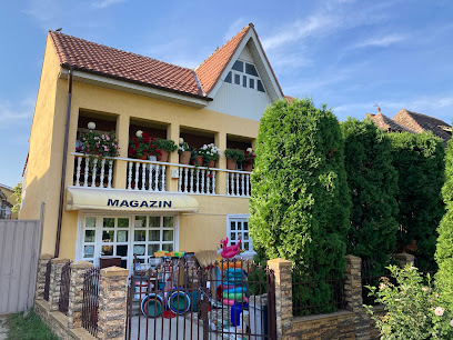 Casa galbena Eșelnița 227195