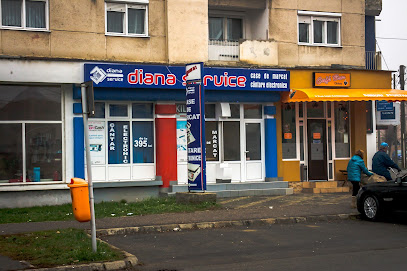 Case de marcat Satu Mare