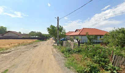 Cerul Vlasiei DJ184 57