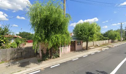 Ciuca I. Costica II Strada Sărățeni 158