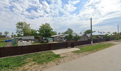 Ciuperca Ioana II Strada Înfrățirii 65