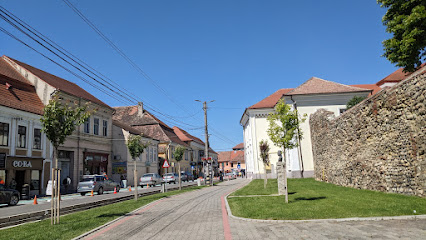 Co-Ra 515800 Sebeș