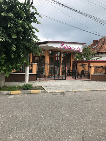 Cofetaria Lili - Laborator Strada Nicolae Bălcescu 38