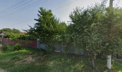 Comuna Gruiu Sat LipiA Strada Malu Roşu