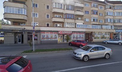 Condor Strada Tăbăcari 14