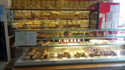 Constant Calea Lugojului 2