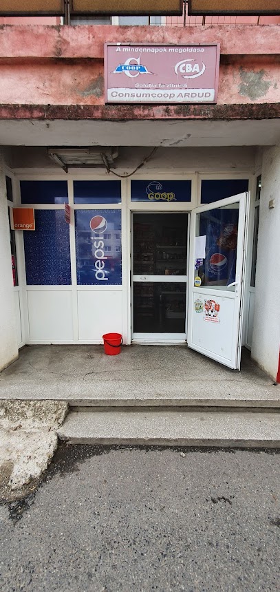 Consumcoop Strada Ștefan cel Mare 15