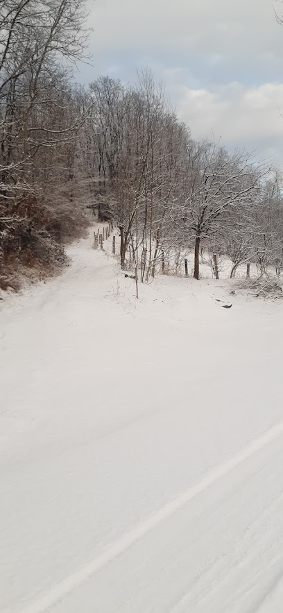 Costesti arges Costești 115200