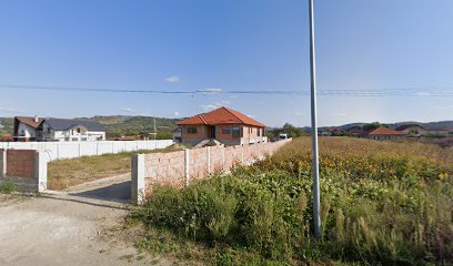 DA PEXAU GRUP SRL Strada Stadionului