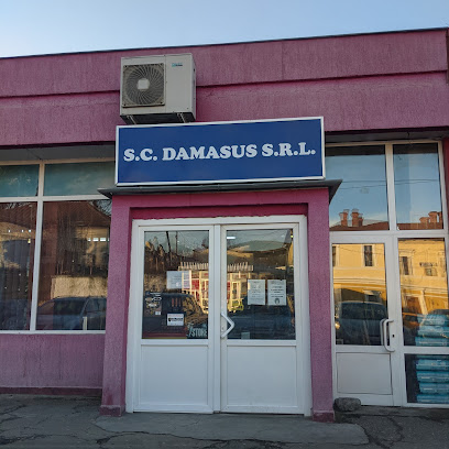 Damasus Strada Cloșca 27