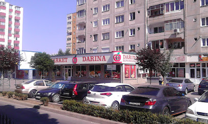 Darina Bulevardul 1848 17