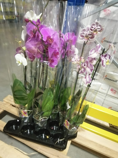 Depozit Emag Retail-Freshful Strada Sinaia 53