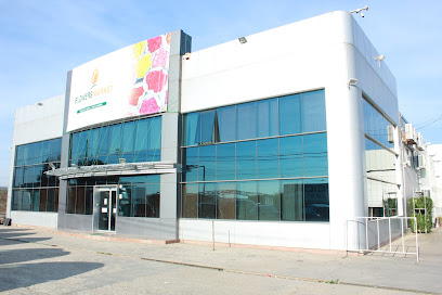Depozit flori engross Bucuresti