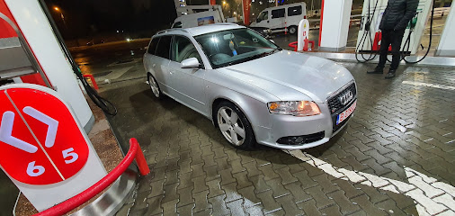 Dezmembrari Audi Strada Câmpului